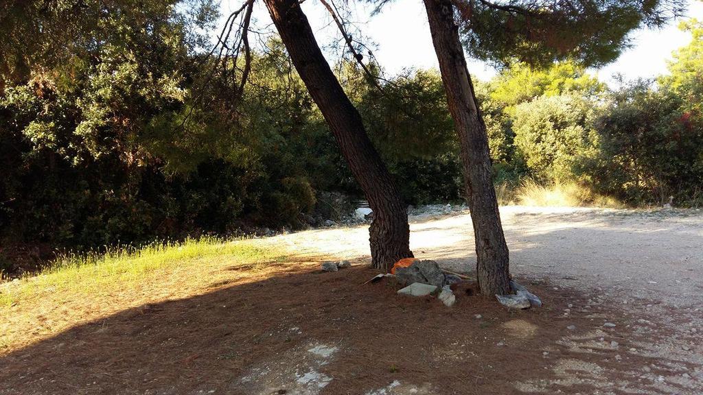 Marica Apartament